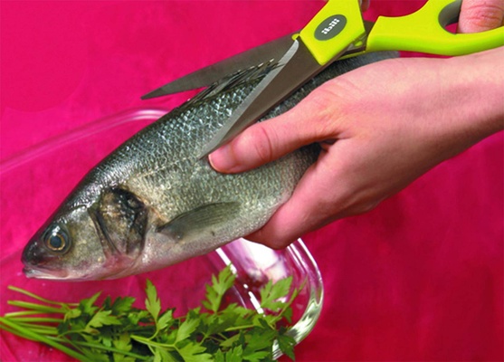 Tijera Clasica Ibili Verde